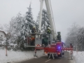 20190115_112304 (Medium)