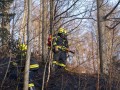 Fahrzeugbrand auf der B126 breitet sich auf Wald aus