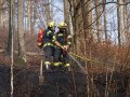 Fahrzeugbrand auf der B126 breitet sich auf Wald aus