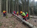 IMG_1298