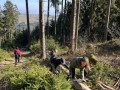 IMG_0153
