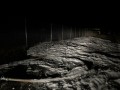IMG_4728